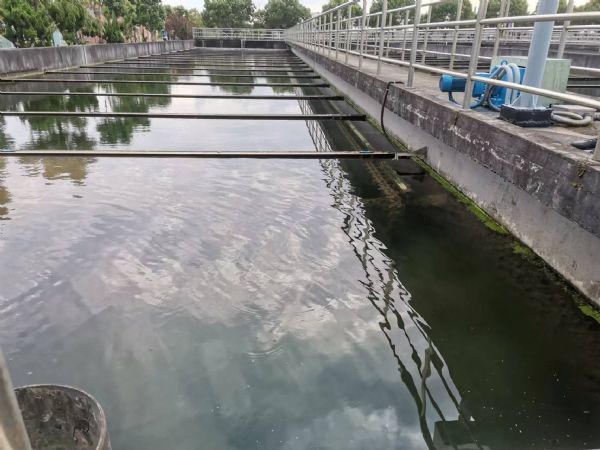 chain scraper system for collecting bottom sediments and floating substances in secondary clarifiers